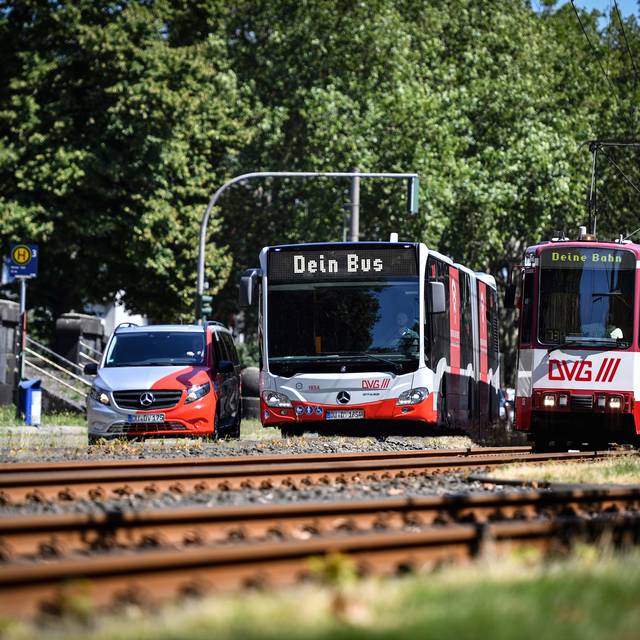 Flotte der Duisburger Verkehrsgesellschaft