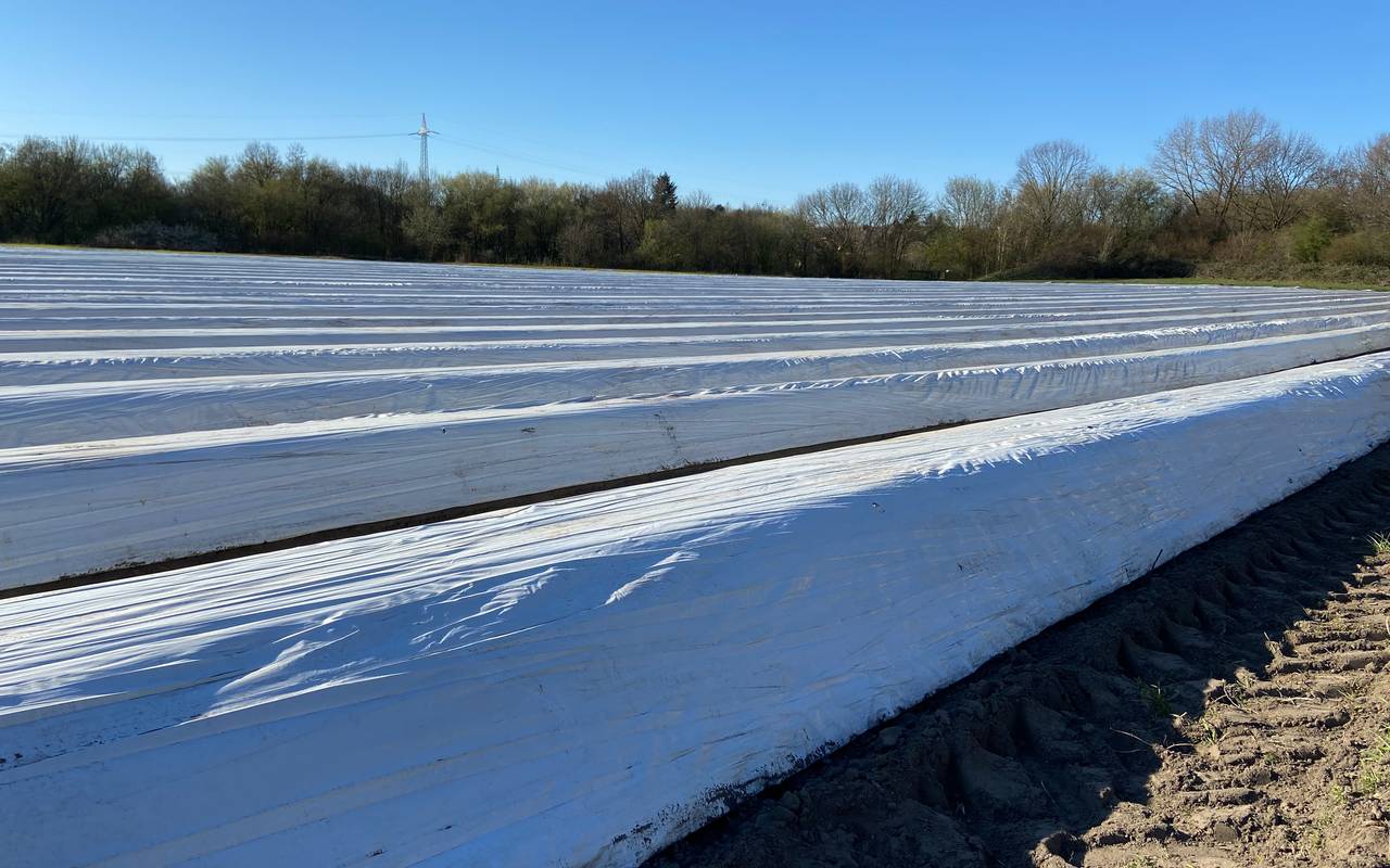 Spargelfeld Folientunnel Spargel Folie Bottrop Eigen Ruhrgebiet