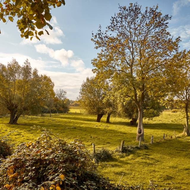 Das Quellgebiet von Rheinfels Quelle: Die Rheinaue Walsum
