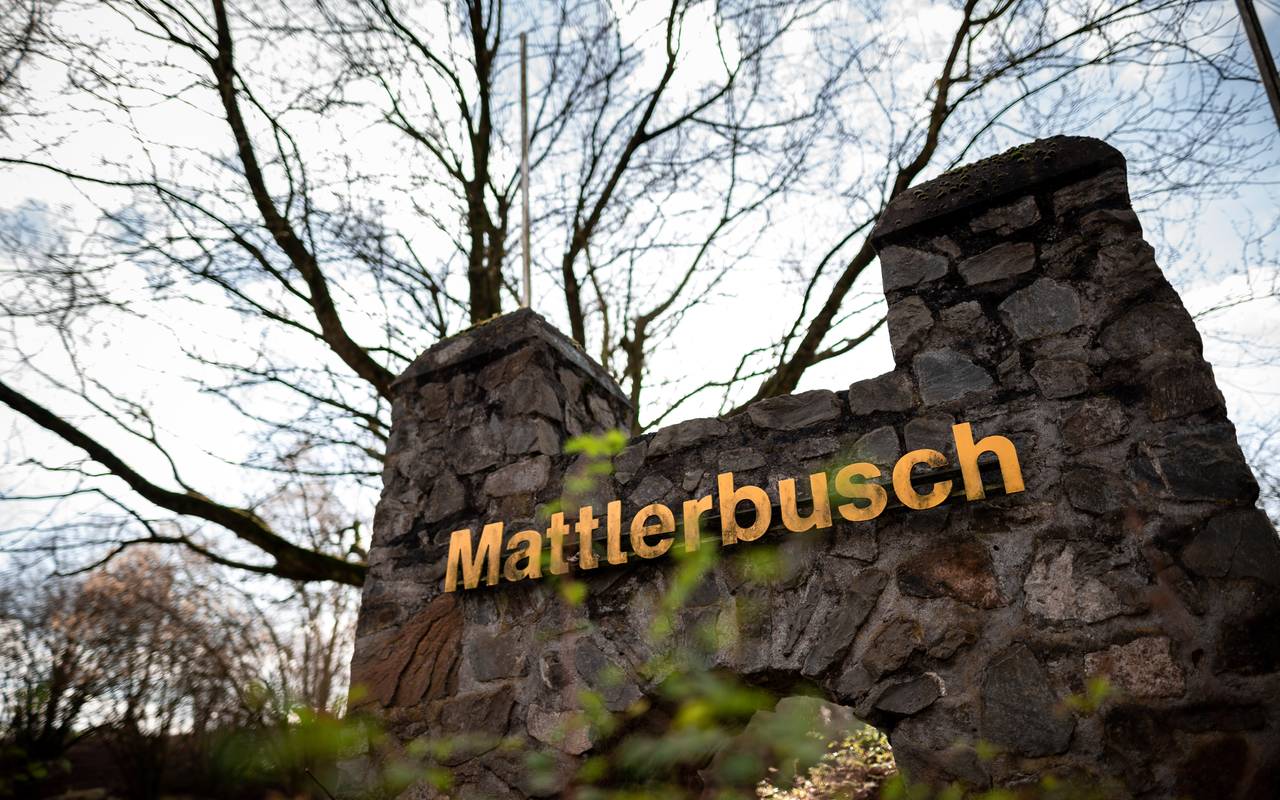 Im Revierpark Mattlerbusch könnt ihr euch eine Auszeit vom hektischen Großstadttrubel gönnen.