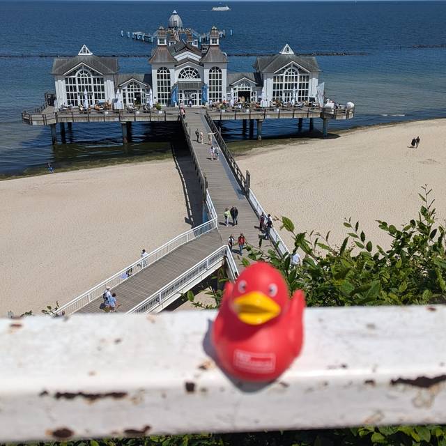 Foto von Susanne: Dieter vor der Seebrücke in Sellin