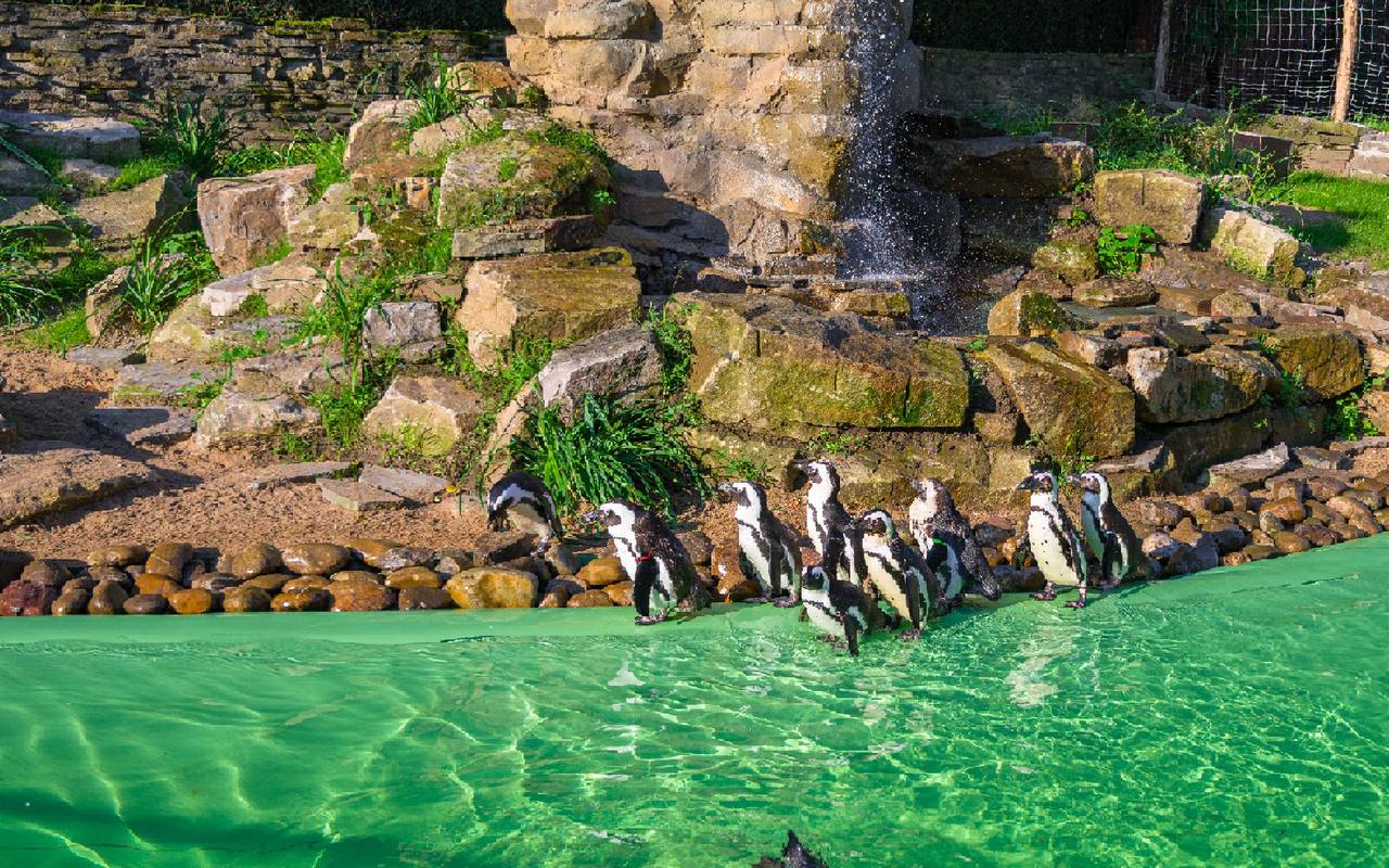 Foto: Zoo Duisburg / M. Appel