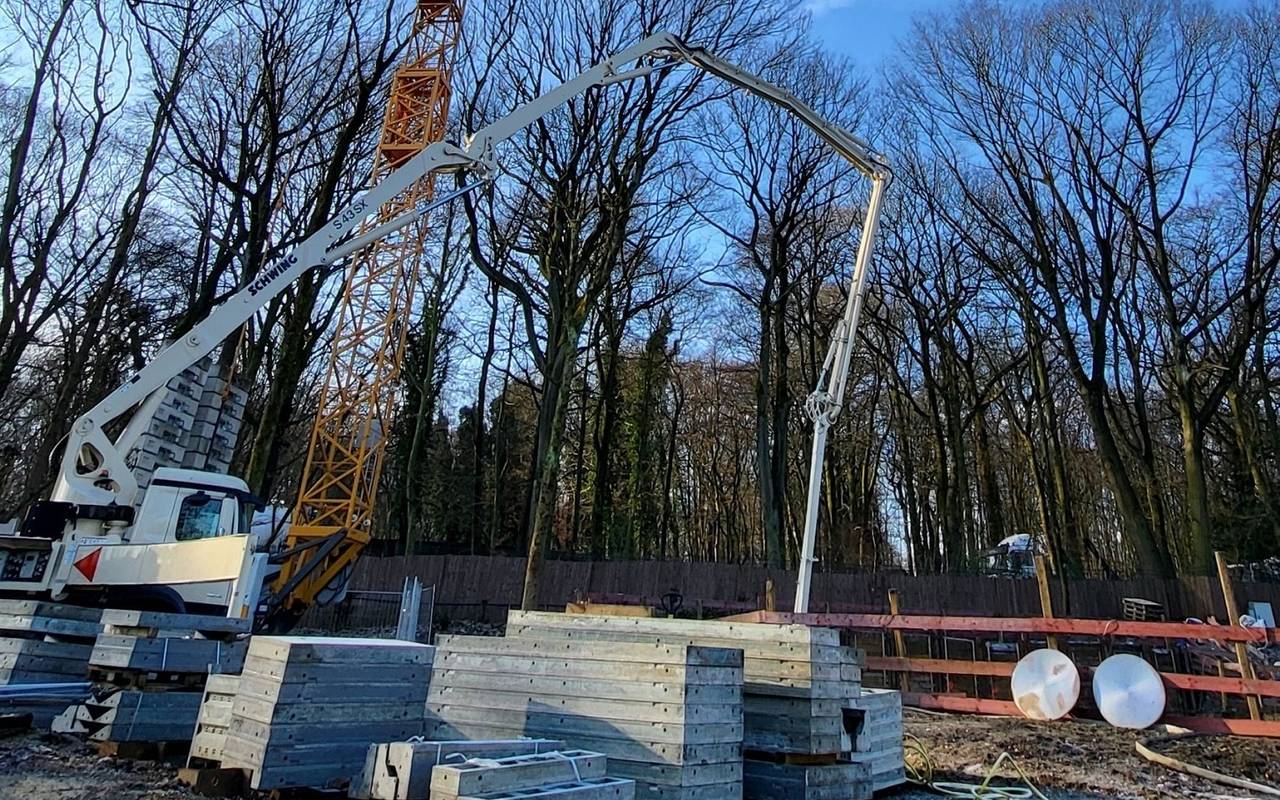 Die Seelöwen im Duisburger Zoo bekommen eine neue Anlage
