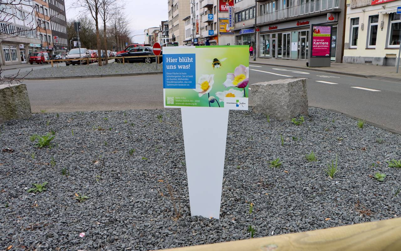 Staudenbeet