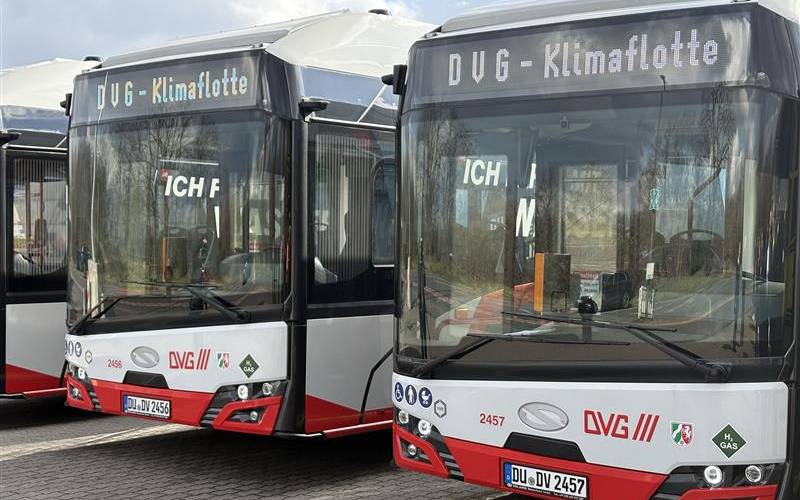Neue Wasserstoffbusse der DVG.
