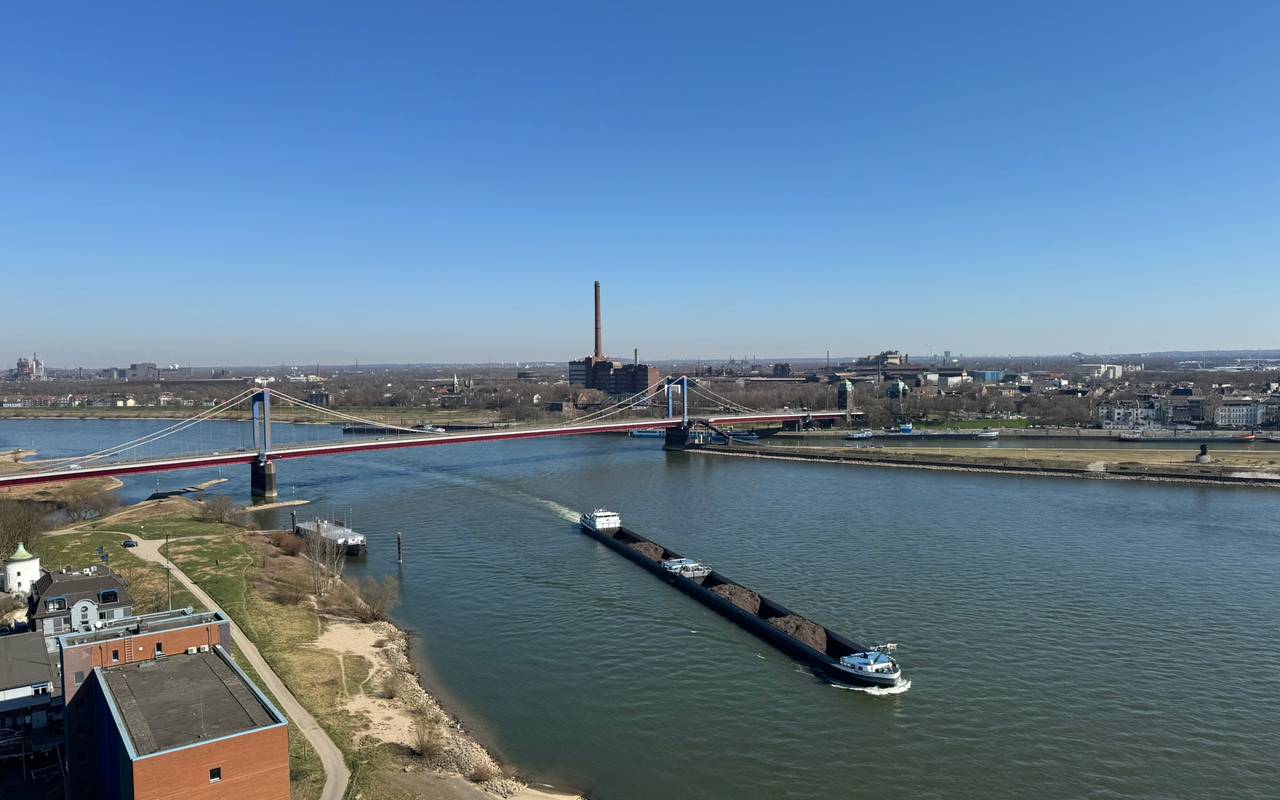 Blick vom Dach des Hotels Rheingarten.