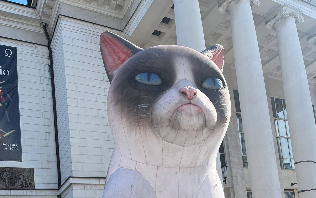 Katze vor Stadttheater Duisburg