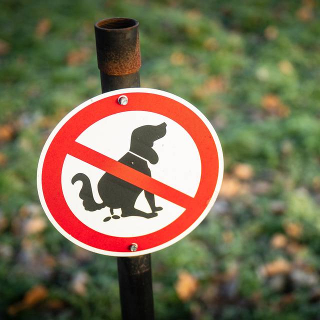 Hundekotverbotsschild auf einer Wiese