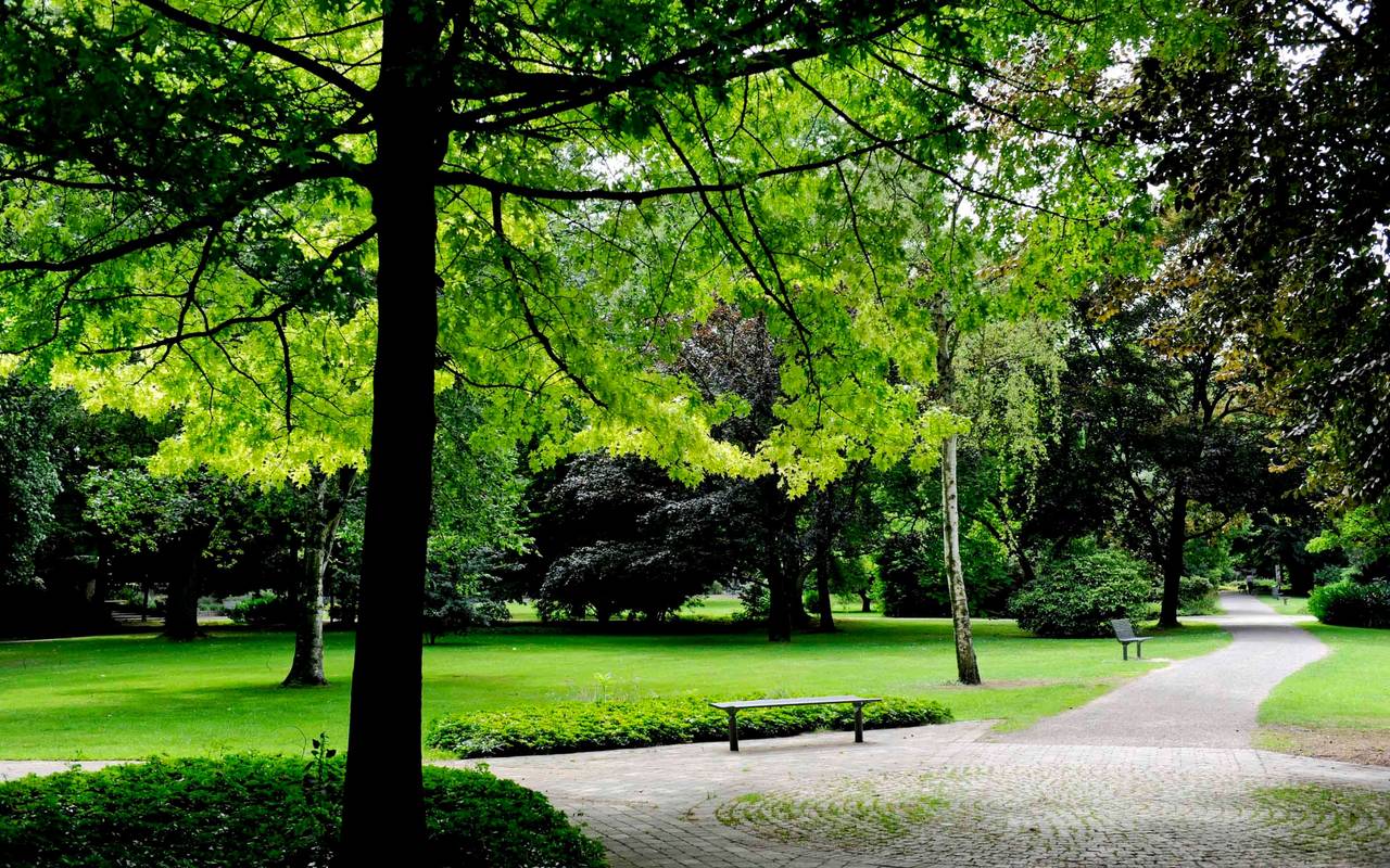 Im Volkspark Rheinhausen gibt es viel grün und gleichzeitig noch ein Tiergehege zu entdecken.
