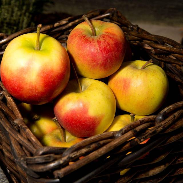 Äpfel liegen in einem Korb