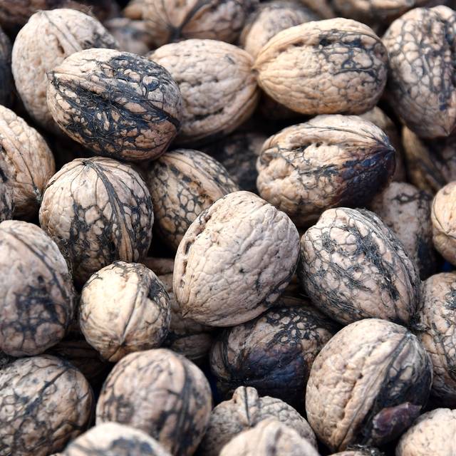 Walnuss-Diebstahl in Duisburg