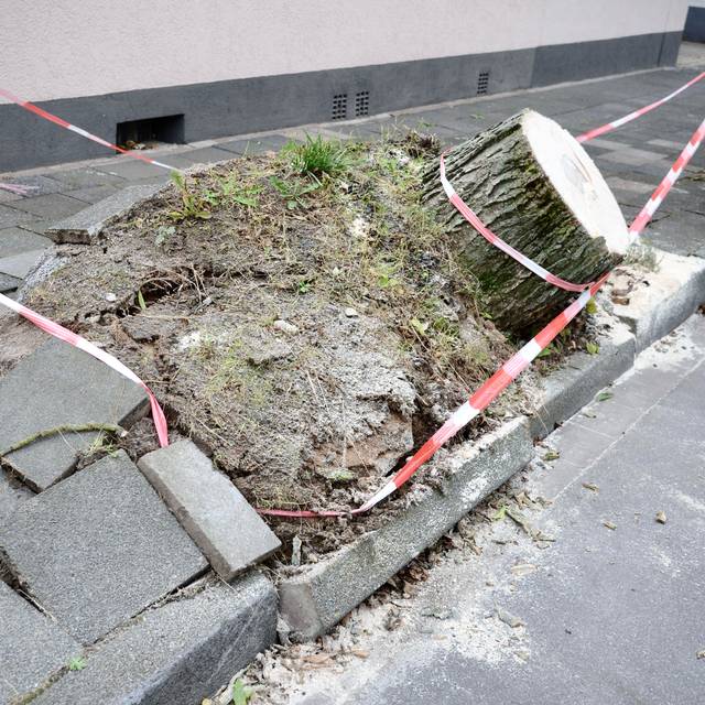 Sturmwarnung für Duisburg-Süd: Windböen bis 80 km/h erwartet