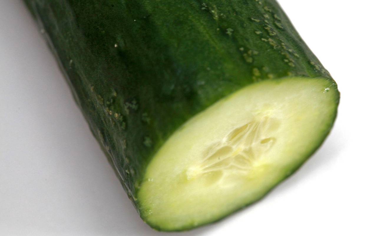 Salatgurke