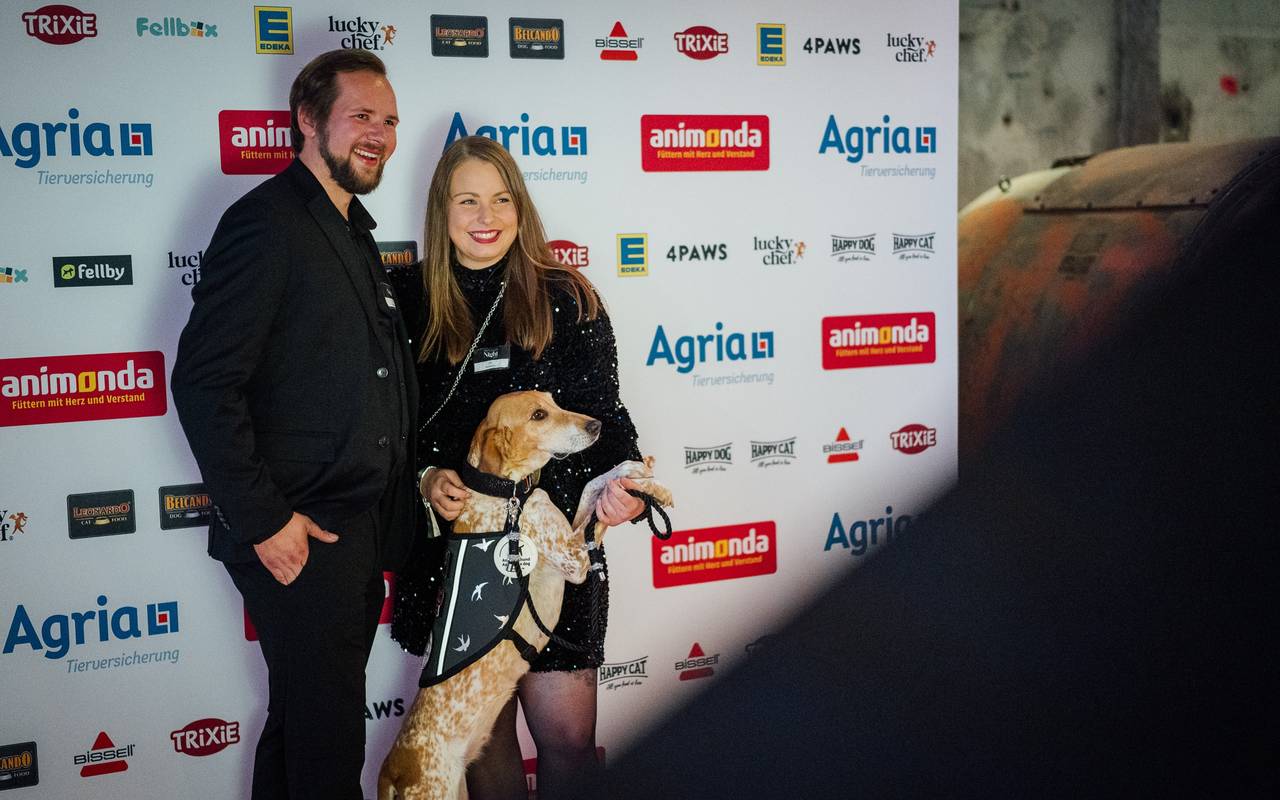 Katzen vs. Hunde: Erstmals gemeinsame Petfluencer-Gala in Duisburg