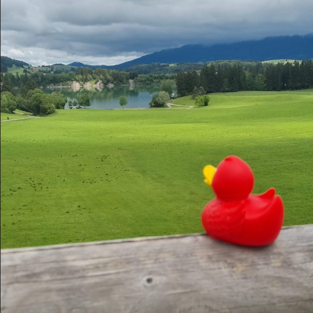 Foto von Mikel: Dieter in Rieden an Forggensee