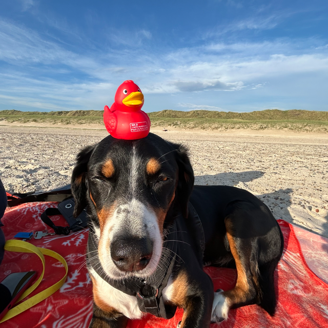 Foto von Eva: Dieter auf der Insel Hiddensee (Ostsee)