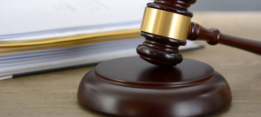 Tierdiebstahl im Duisburger Zoo - Prozessauftakt