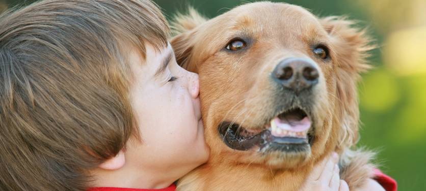Stadt Duisburg warnt vor illegalem Hundehandel