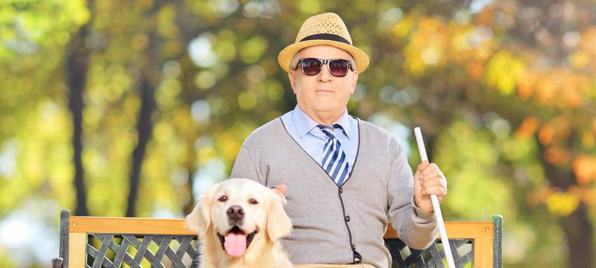 Duisburg befreit Assistenzhunde von der Hundesteuer