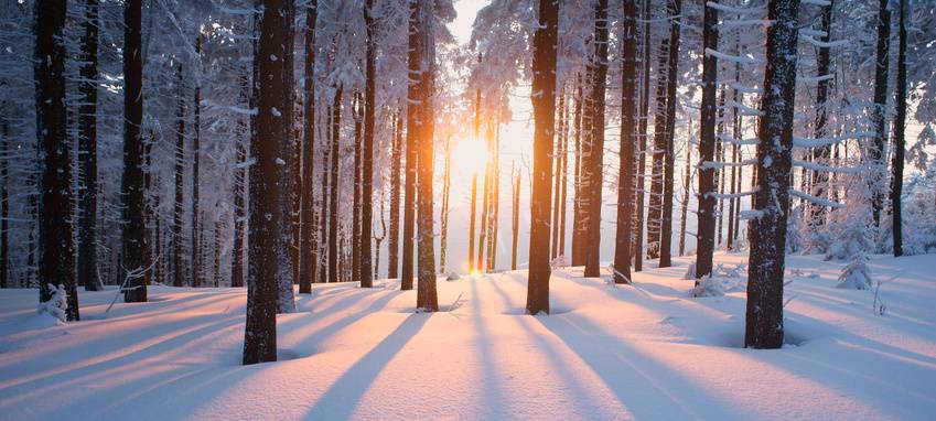 Vorsicht: Glatteis im Duisburger Wald