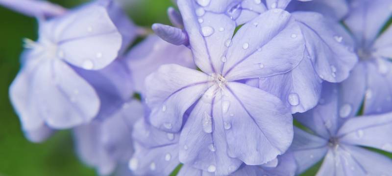 #wirbleibenzuhause - Gute Gedanken für Duisburg