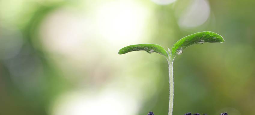 Earth Hour am Samstagabend