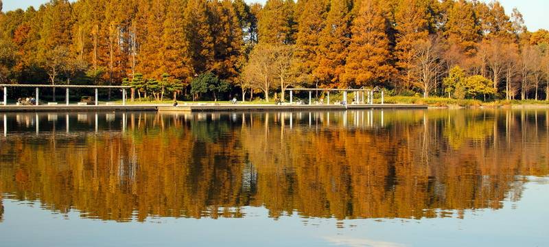 Blaualgen an der Sechs Seen-Platte