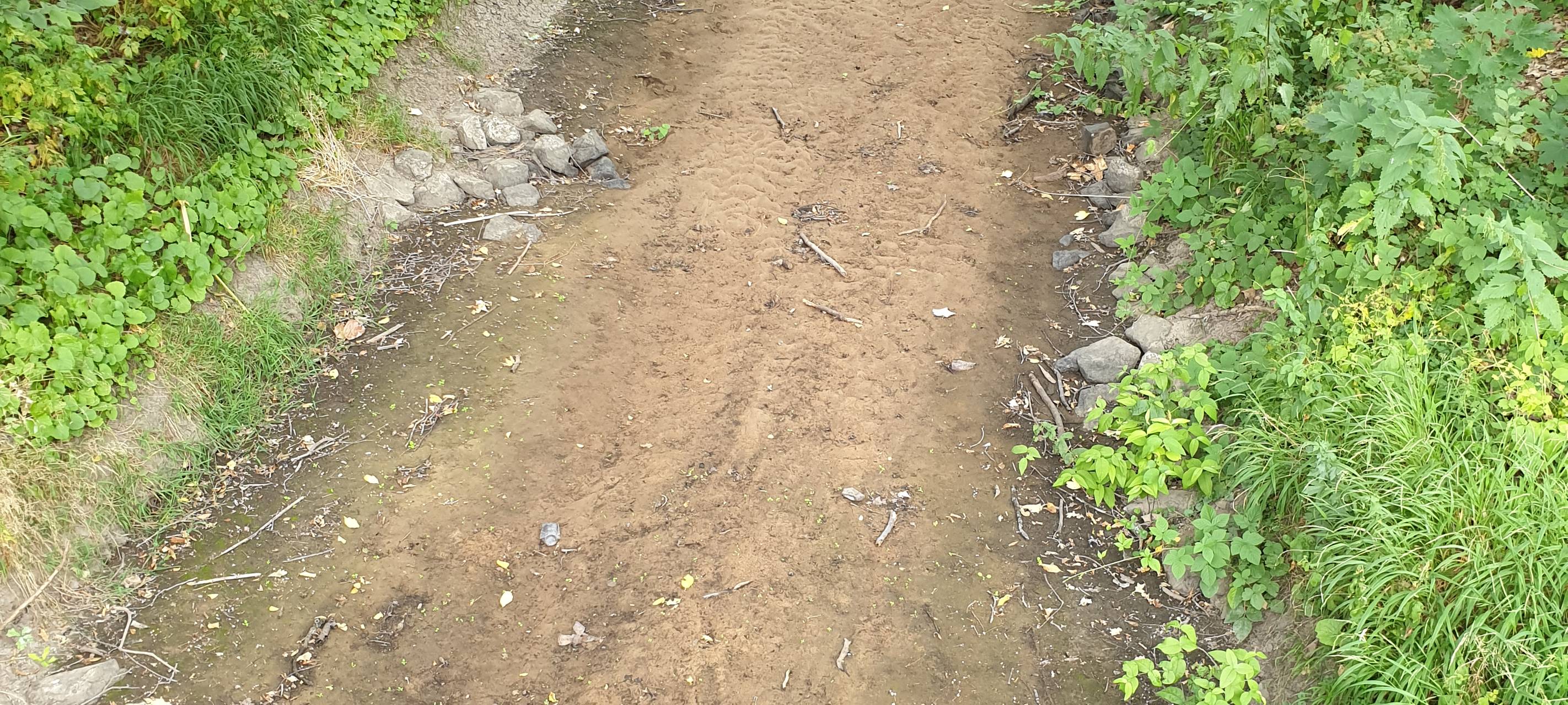 Stadt Duisburg fällt nicht alle Bäume am Dickelsbach