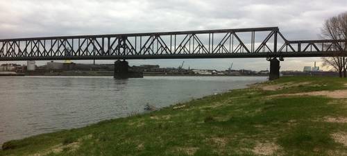 Düsseldorf und Duisburg denken über Wasserbusse auf dem Rhein nach