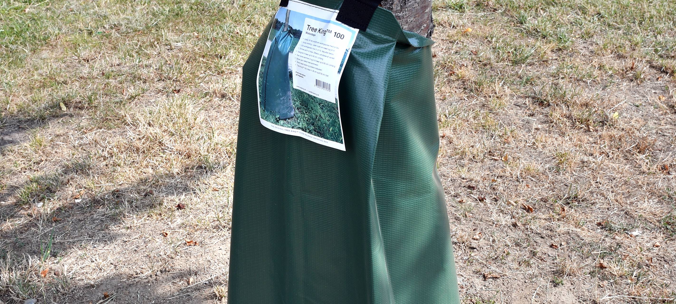 Hitze lässt Bäume in Duisburg sterben