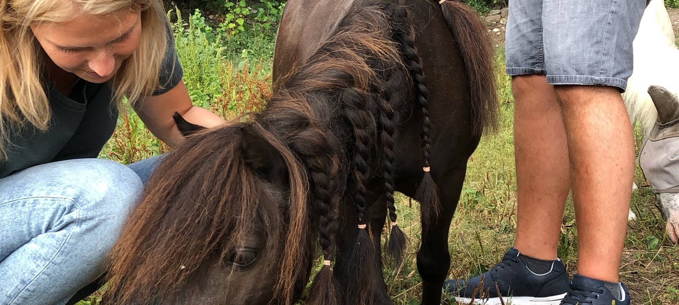 Die Tierwoche bei Radio Duisburg