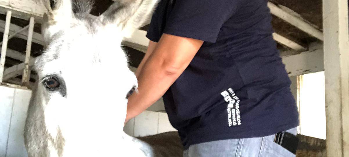 Die Tierwoche bei Radio Duisburg