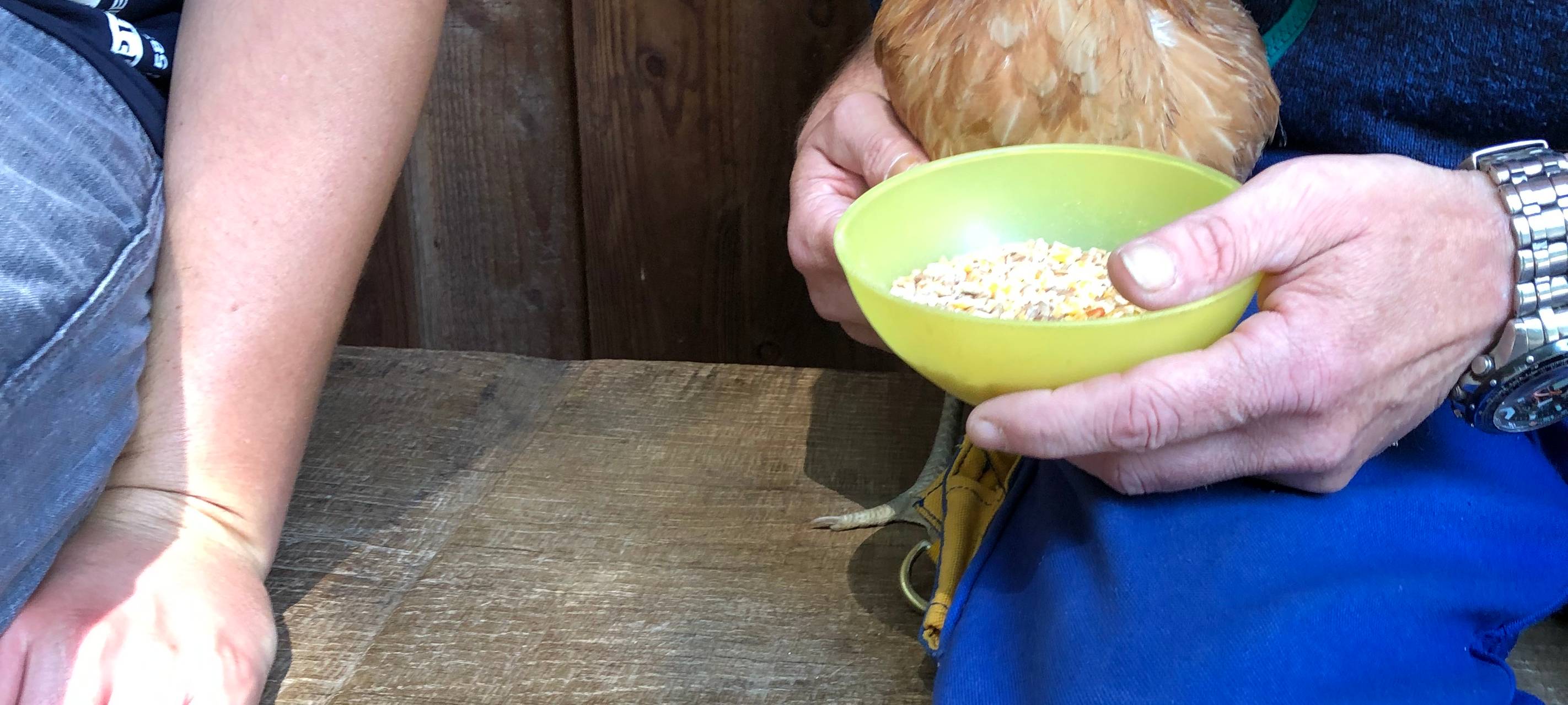 Die Tierwoche bei Radio Duisburg