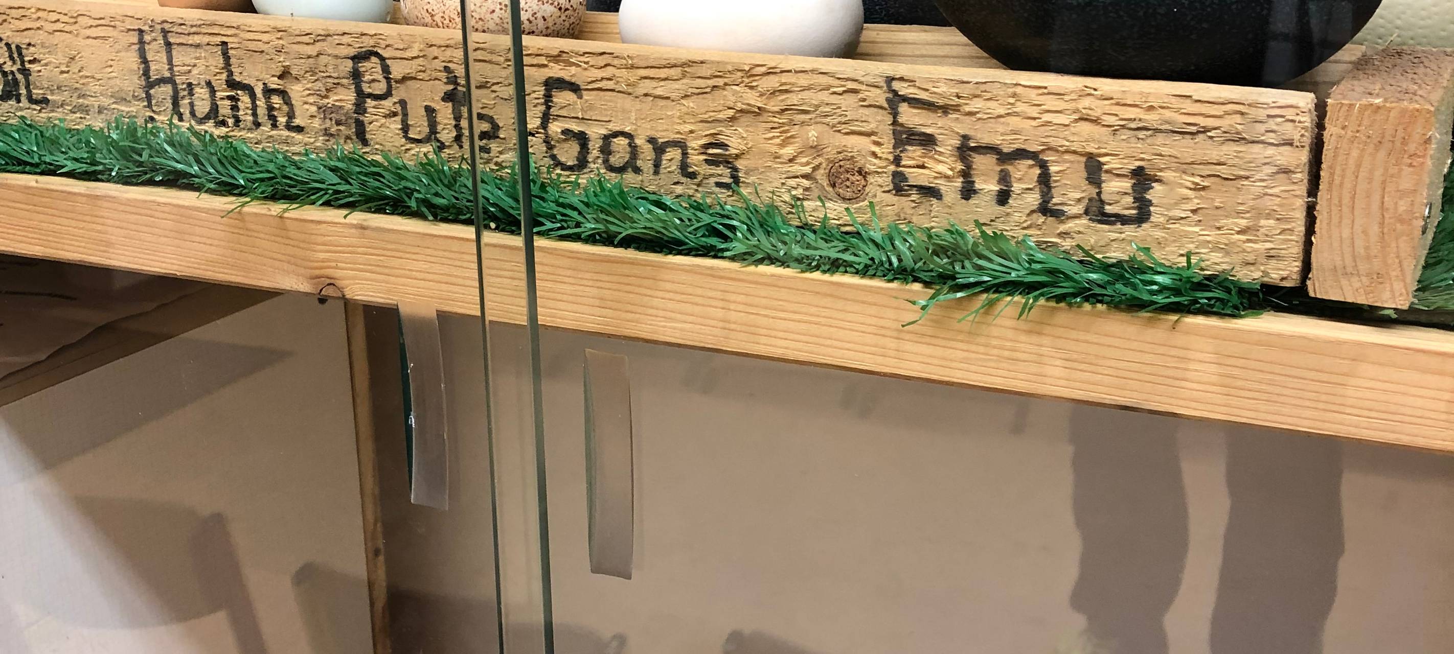 Die Tierwoche bei Radio Duisburg