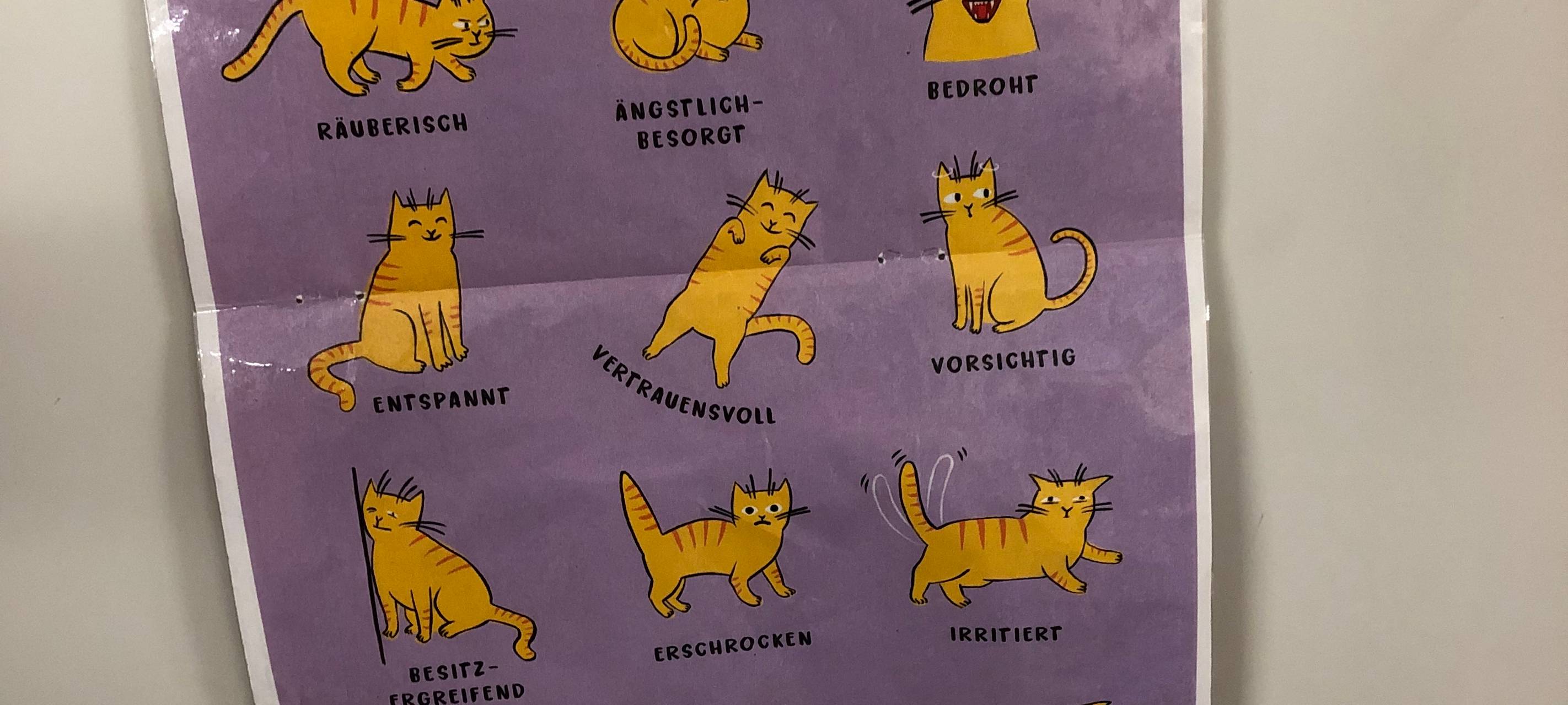 Die Tierwoche bei Radio Duisburg