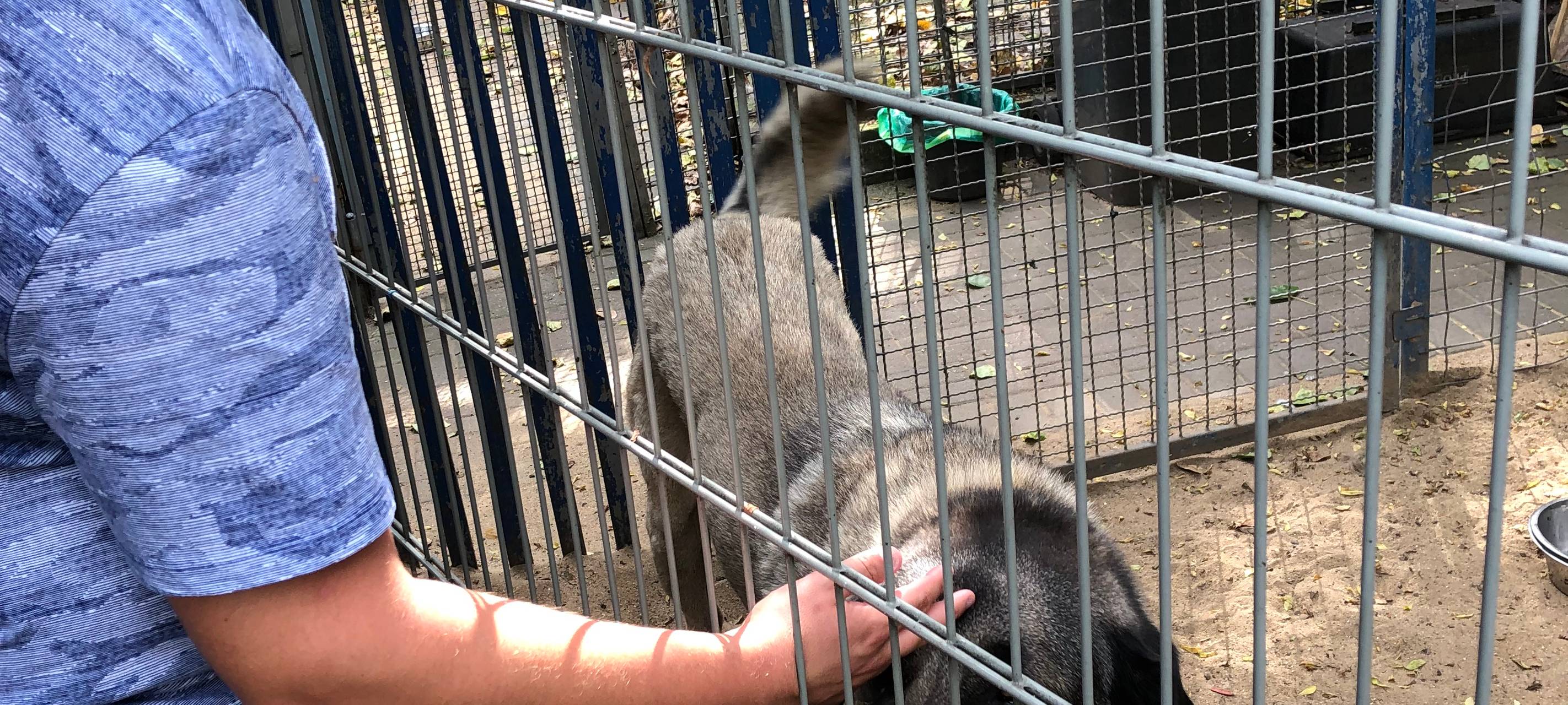 Die Tierwoche bei Radio Duisburg