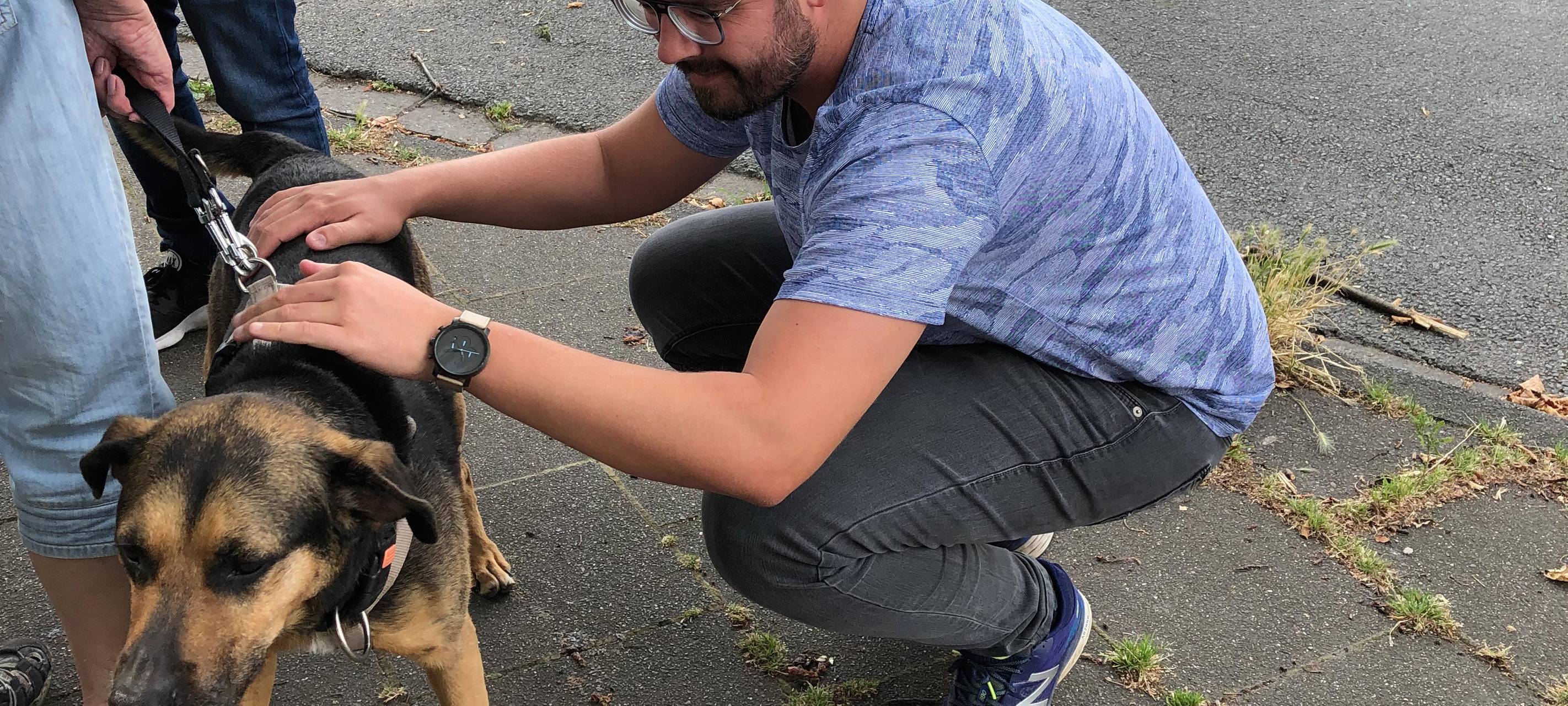 Die Tierwoche bei Radio Duisburg