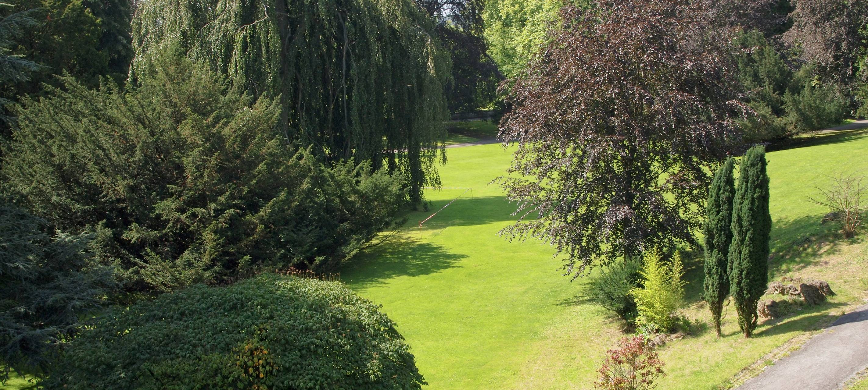 Bäume pflanzen für das Klima