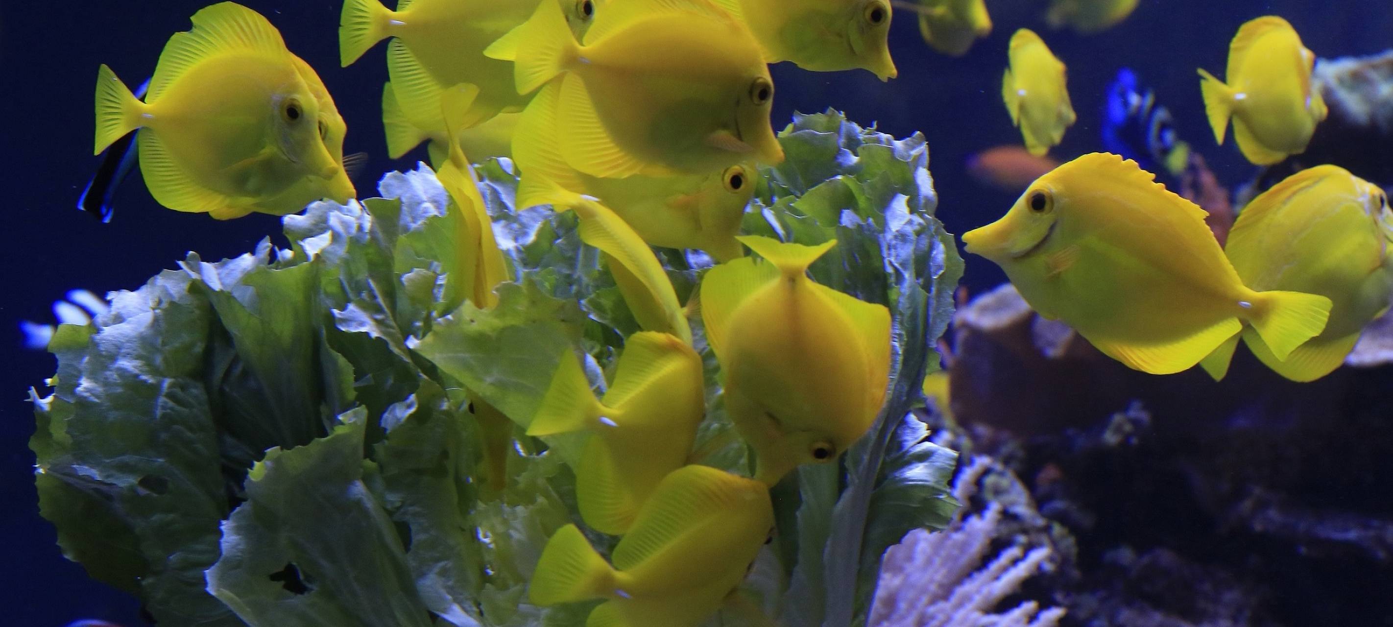 Zoo hat Inventur gemacht