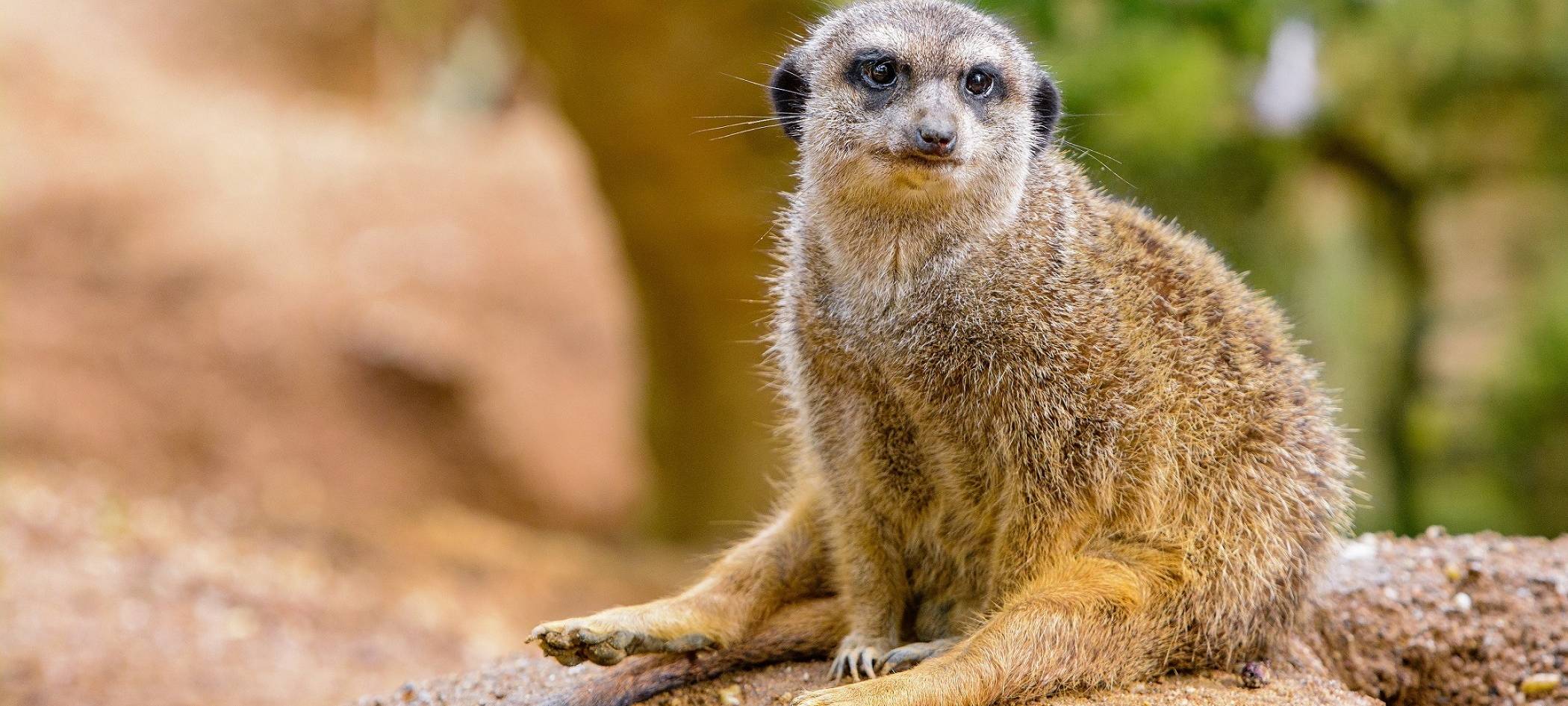 Zoo hat Inventur gemacht