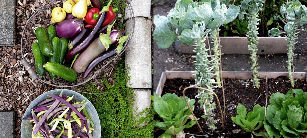 Serie "Vorsätze Extrem": Nicht nur "mal mehr Sport" treiben