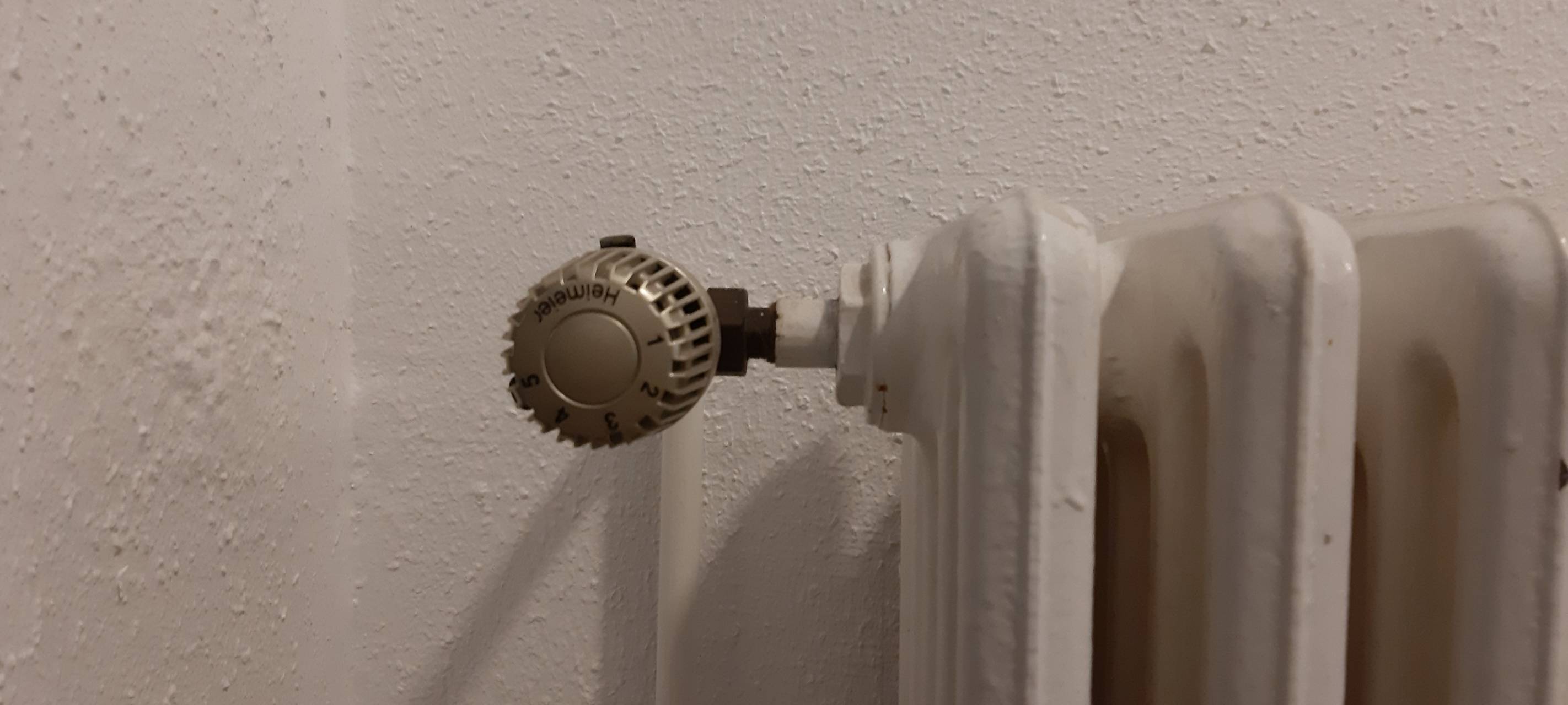 Hitzeserie: Wie halte ich meine Wohnung kühl