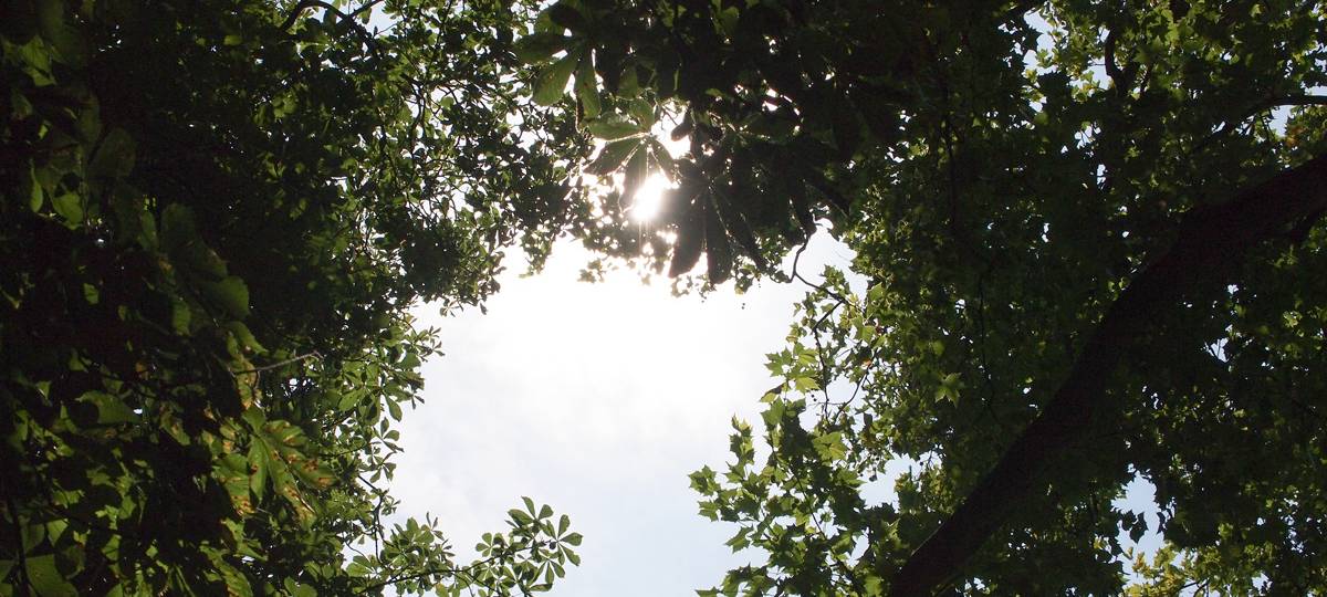 Corona-Kontrollen in Duisburg