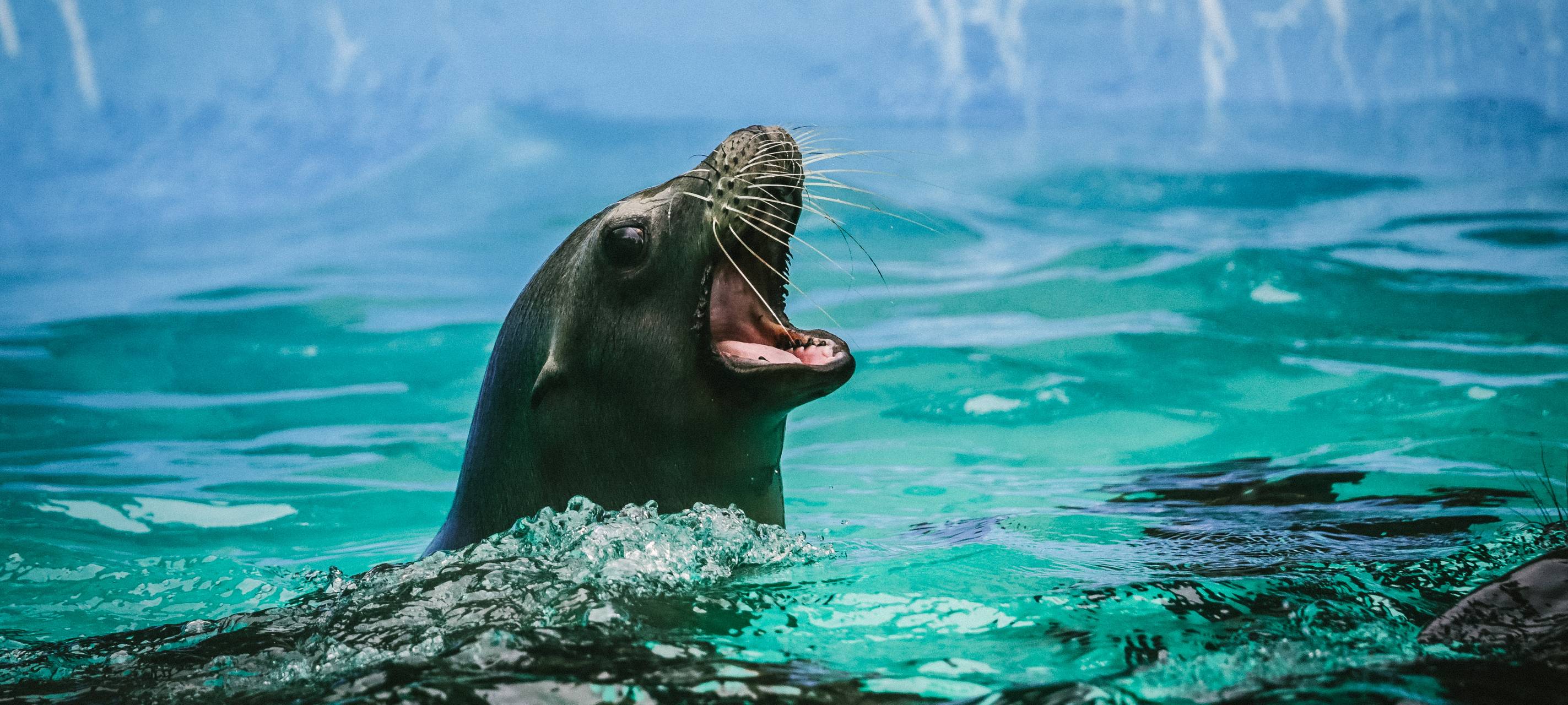 Hier können wir den Taboola Feed testen