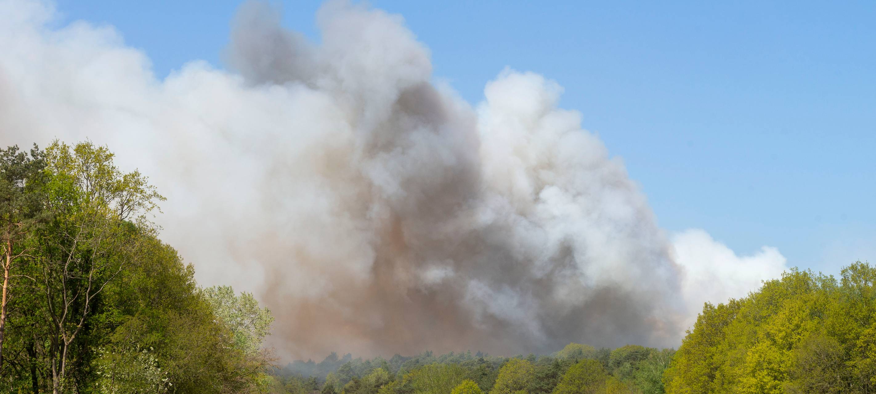 Waldbrandgefahr in Duisburg gestiegen