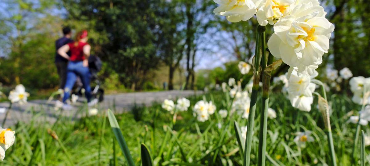 Baustart für Stadtpark Hochheide erst nächstes Jahr