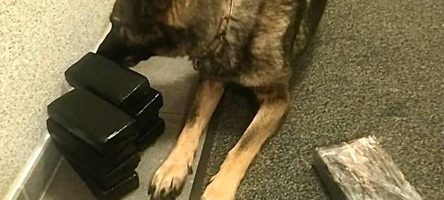 Duisburger Staatsanwaltschaft veranlasst Drogenrazzia