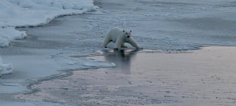 Exklusive Bilder von der Polarstern-Expediton "MOSAiC" in der Arktis