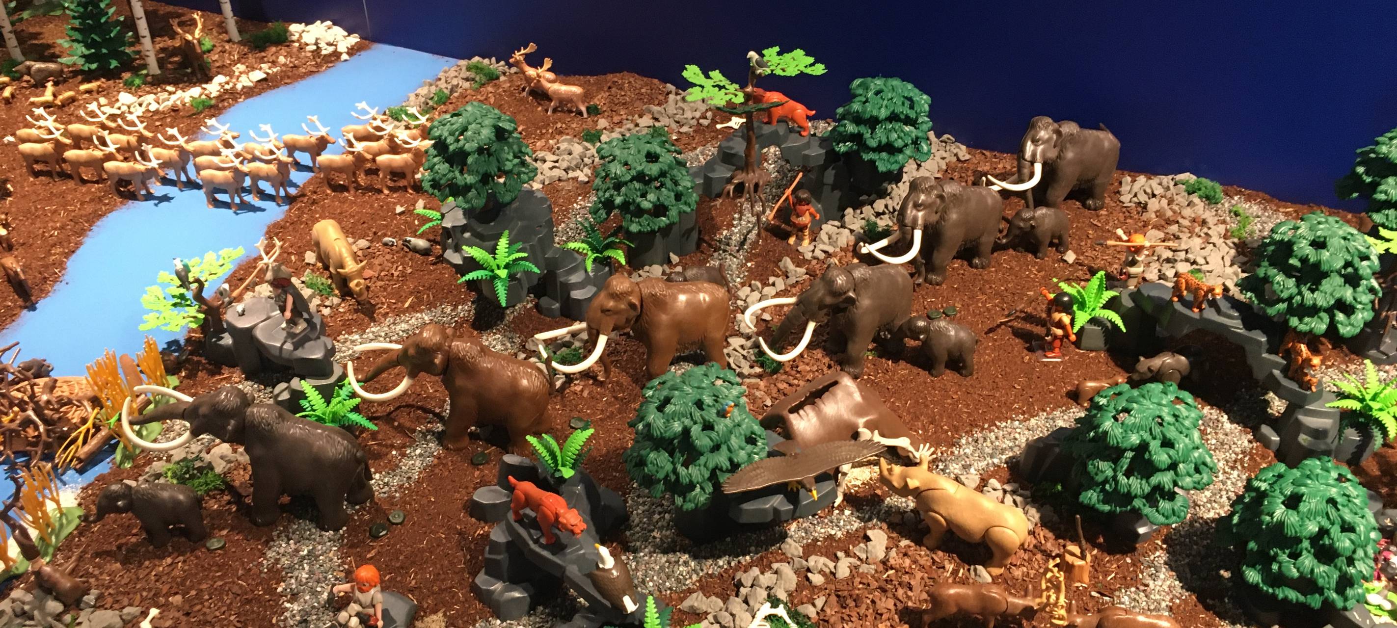 Kinderbetreuung und Angebote in den Sommerferien