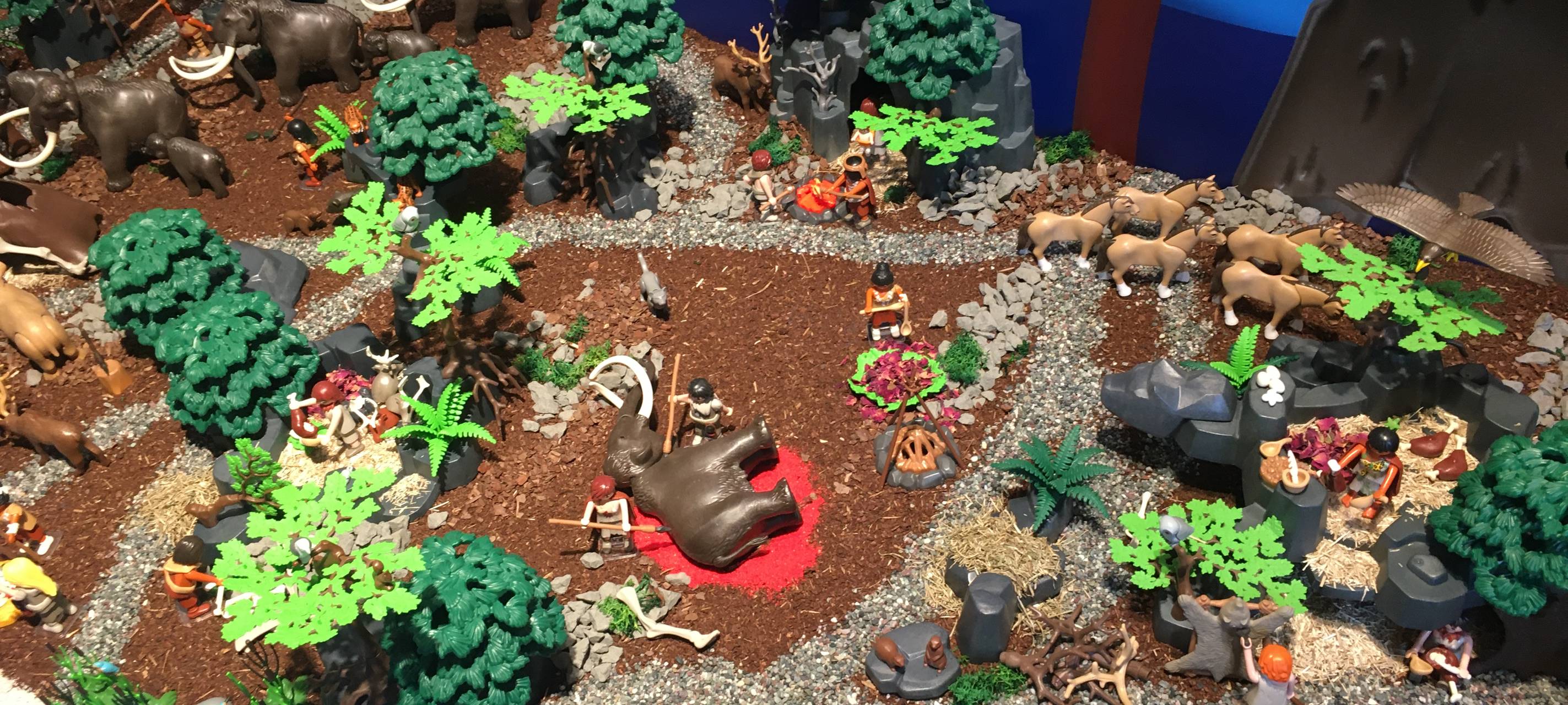 Kinderbetreuung und Angebote in den Sommerferien